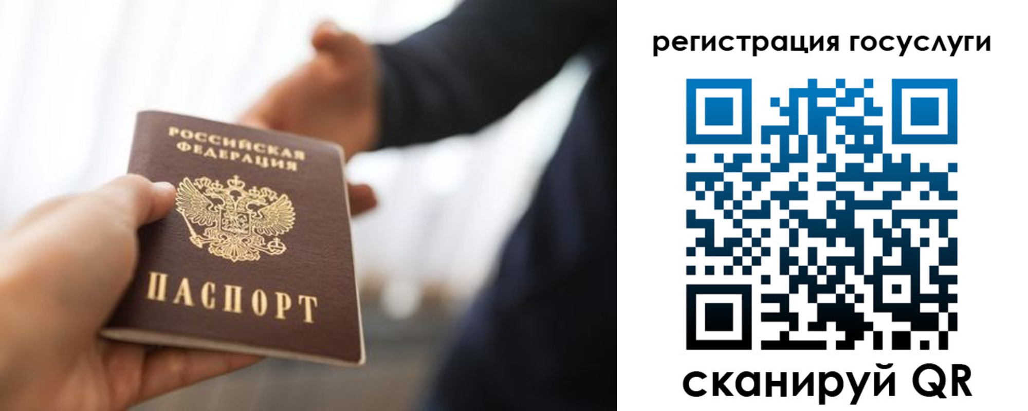 временная регистрация поиск в Курганской области